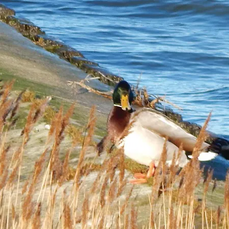 شقة Cozy In Ostseeresort
